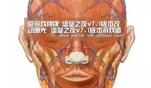 爱游戏棋牌_堡垒之夜v7.1版本改动曝光-堡垒之夜v7.1版本游戏道具改动(图1) 爱游戏棋牌