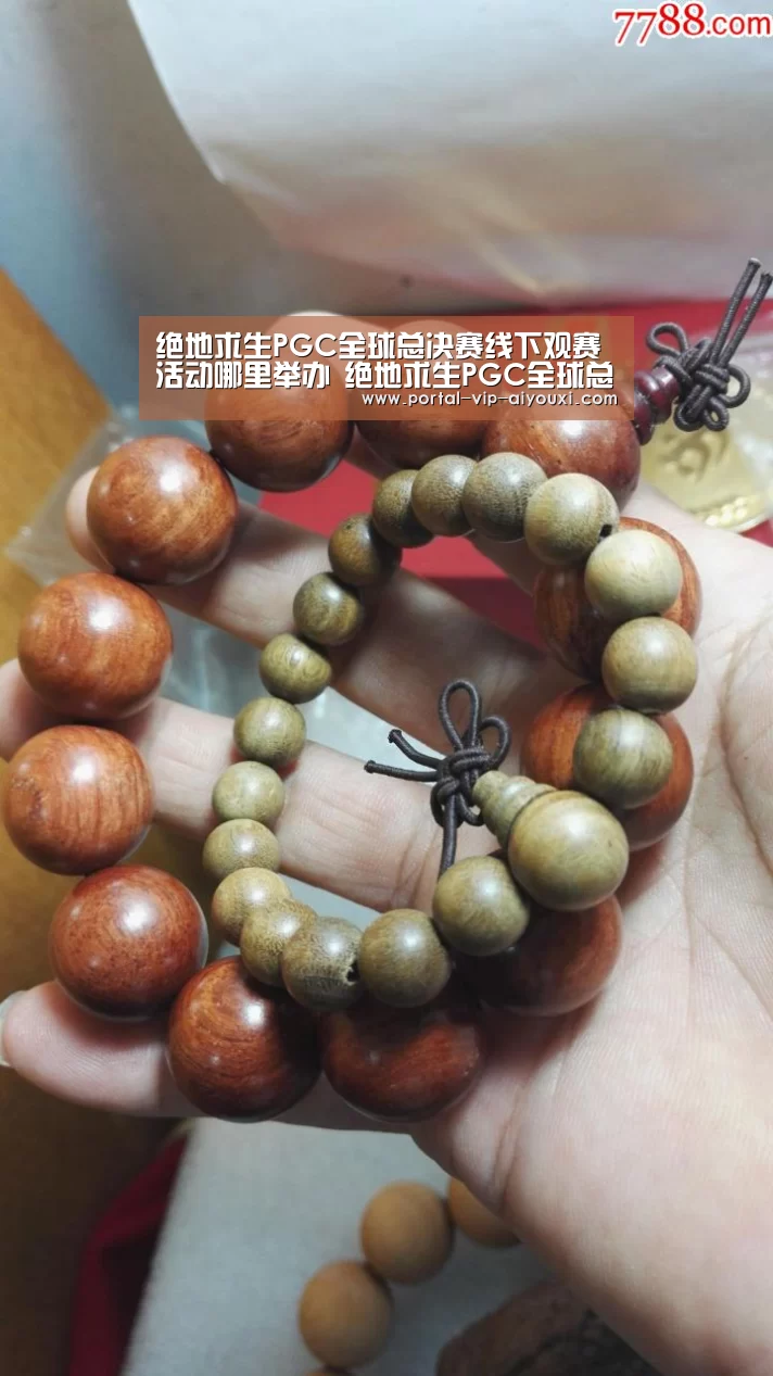 绝地求生PGC全球总决赛线下观赛活动哪里举办 绝地求生PGC全球总决赛线下观赛活动一览‘爱游戏’(图1) 爱游戏棋牌