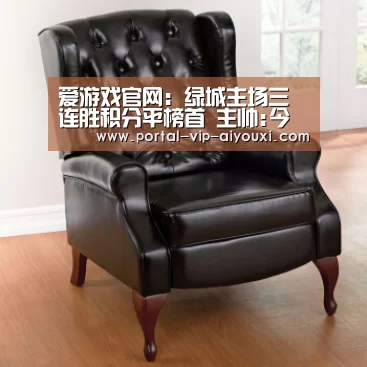爱游戏体育官网