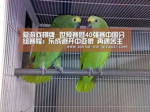 爱游戏